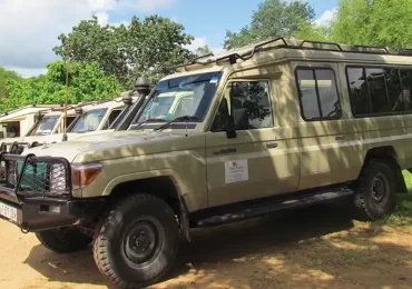 Safari vehicles fleet in the shade