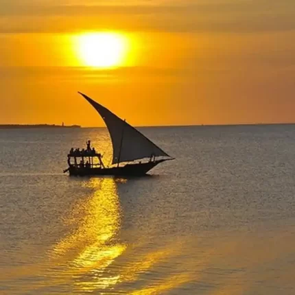 sunset dhow cruise in pemba island
